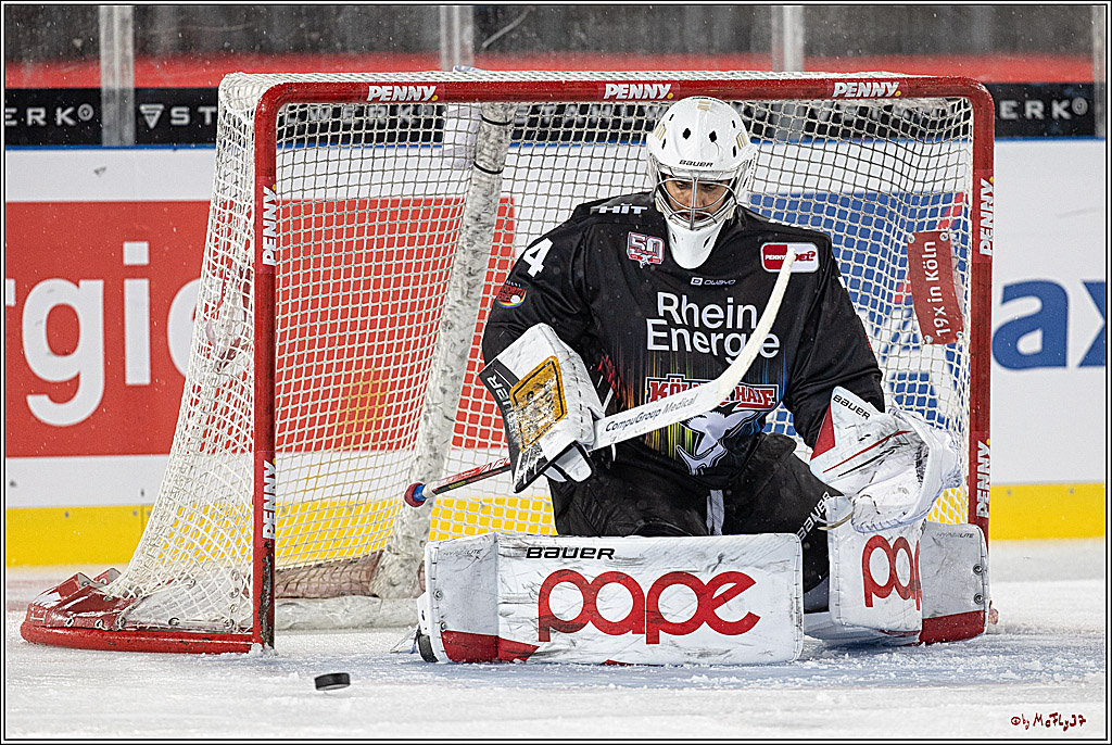 PENNY DEL;  Kölner Haie - Fischtown Pinguins; Köln, 22.12.2022